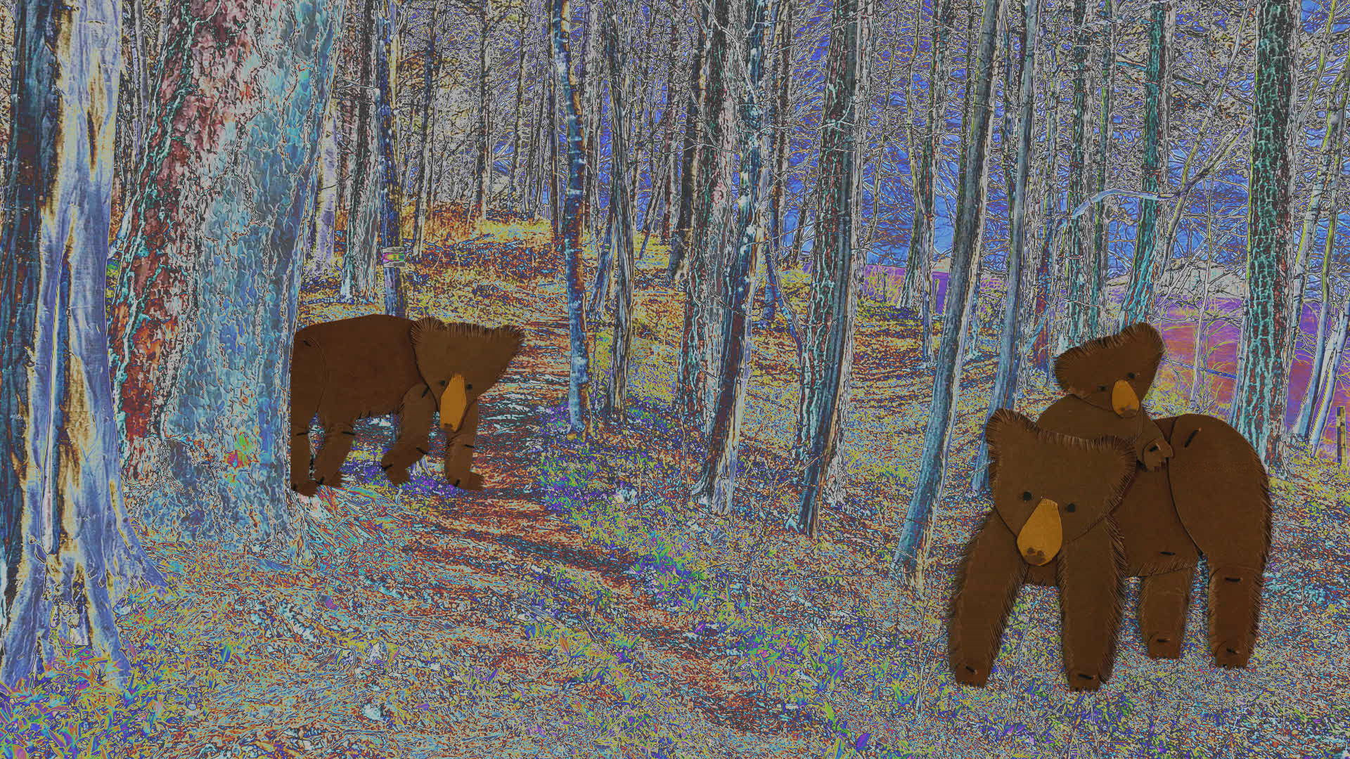 11_feuersalamander_1_WEB