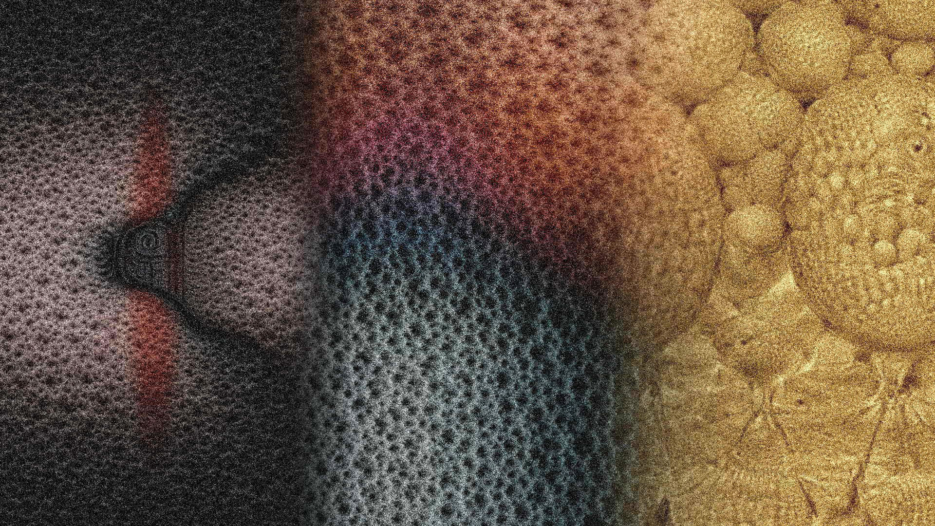 5. Roisz_The_Garden_of_Electric_Delights_courtesy_sixpackfilm_04_WEB